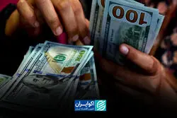 ارزش ذاتی دلار در بازار چقدر است؟