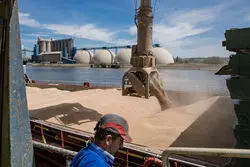 کاهش ۴۰ درصدی عبور گندم از کانال سوئز