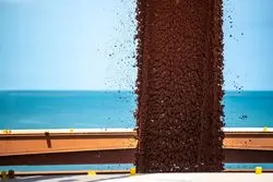 تعطیلات چین، سنگ‌آهن و زغال را ارزان کرد