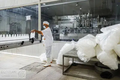 قیمت لبنیات کاهش می یابد؟ + ویدیو