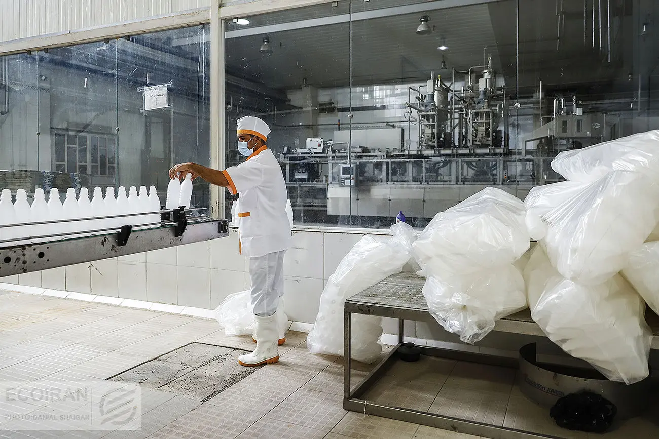 قیمت لبنیات کاهش می یابد؟ + ویدیو