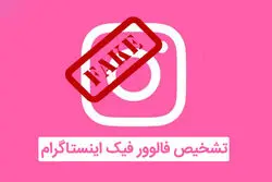 سریع ترین راه تشخیص فالوور فیک اینستاگرام چیست؟