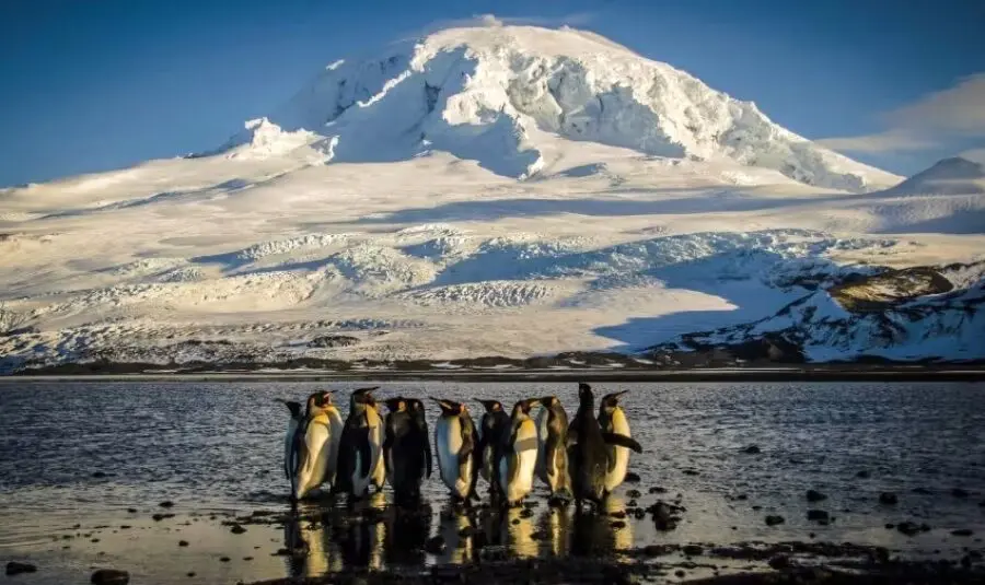 تعرفه‌های ترامپ به سرزمین پنگوئن‌ها رسید