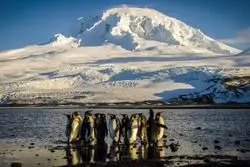 تعرفه‌های ترامپ به سرزمین پنگوئن‌ها رسید