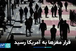 فرار مغزها به آمریکا رسید؛ این کشورها بیشترین سود می‌برند
