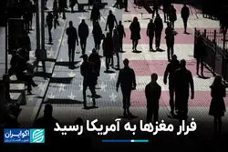 فرار مغزها به آمریکا رسید؛ این کشورها بیشترین سود می‌برند
