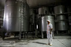 بهترین و بدترین محیط‌های کسب و کار / زمستان سخت در کدام بخش اقتصادی؟