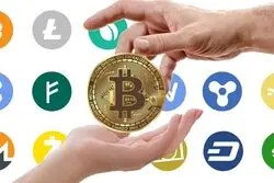 از ایده تا واقعیت؛ صرافی اختصاصی با برند شما بر بستر امن افکس