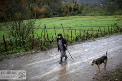 وام 400میلیونی نوسازی مسکن برای این افراد + جزئیات