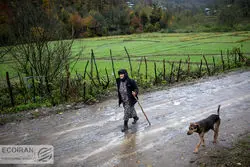 وام 400میلیونی نوسازی مسکن برای این افراد + جزئیات