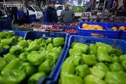 محصولات کشاورزی شناسنامه دار می شوند