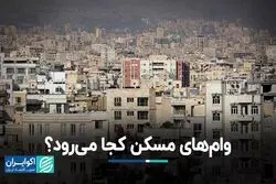وام‌های مسکن کجا می‌رود؟