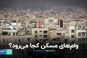 وام‌های مسکن کجا می‌رود؟