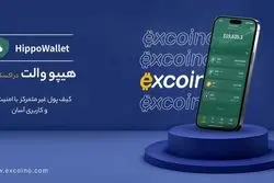 «هیپو والت؛ تحولی نوین در کیف پول‌های غیرمتمرکز»