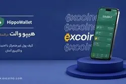 «هیپو والت؛ تحولی نوین در کیف پول‌های غیرمتمرکز»