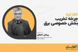 چرخه تخریب بخش خصوصی برق