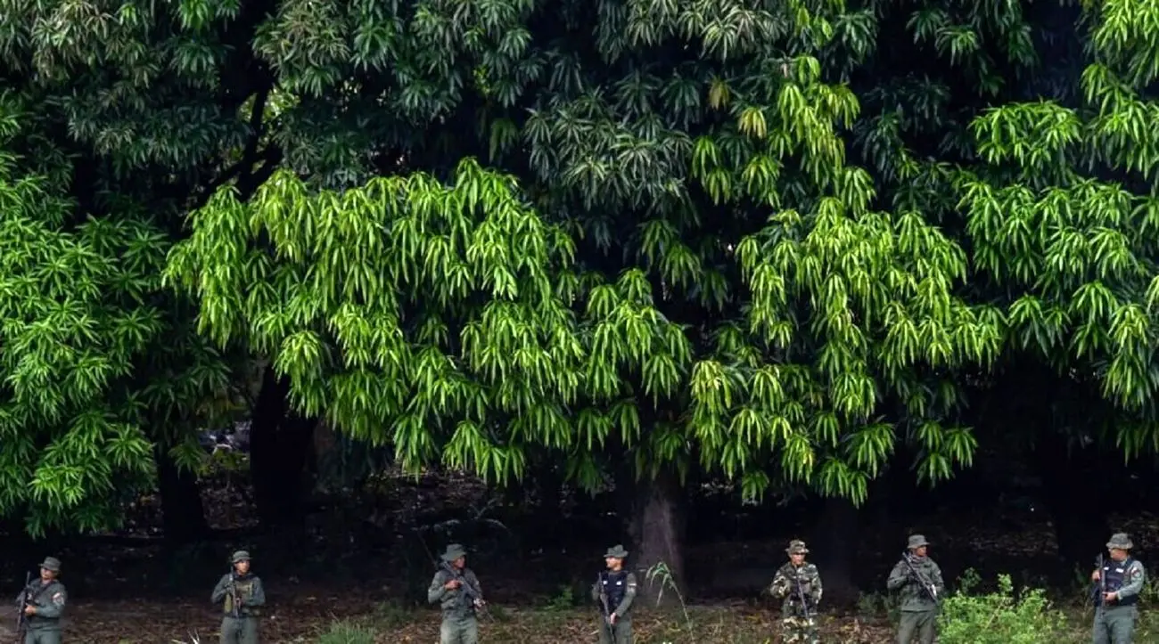 رزمایش ونزوئلا در واکنش به تحرکات آمریکا؛ استقرار هزاران سرباز در مرز با کلمبیا