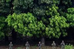 رزمایش ونزوئلا در واکنش به تحرکات آمریکا؛ استقرار هزاران سرباز در مرز با کلمبیا