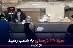 سود 20 درصدی به شعب رسید