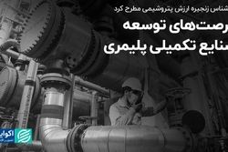 فرصت‌های توسعه صنایع تکمیلی پلیمری