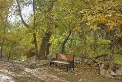 این پروژه شهری با تیراندازی آغاز شد/ برنامه شهرداری برای  بخش جنوبی دانشگاه امام صادق 