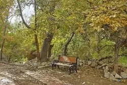این پروژه شهری با تیراندازی آغاز شد/ برنامه شهرداری برای  بخش جنوبی دانشگاه امام صادق 