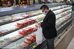 کاهش عرضه مرغ رکورد زد/ ماهانه 4.5 هزار تن از عرضه مرغ به بازار کاسته می‌شود