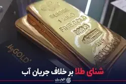 شنای طلا بر خلاف جریان آب