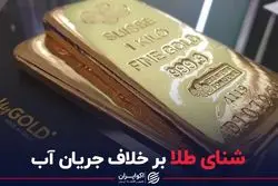 شنای طلا بر خلاف جریان آب