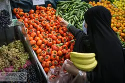 توت‌فرنگی، گوجه سبز و چغاله بادام را ارزان بخرید 