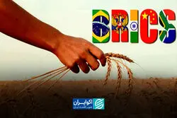 بورس غلات بریکس در راه است