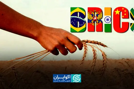 بورس غلات بریکس در راه است