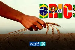 بورس غلات بریکس در راه است