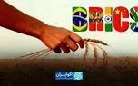 بورس غلات بریکس در راه است