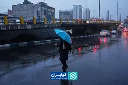 ما مانند صحرای عربستان بودیم اگر ...