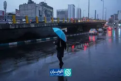 ما مانند صحرای عربستان بودیم اگر ...