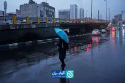 ما مانند صحرای عربستان بودیم اگر ...