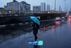 ما مانند صحرای عربستان بودیم اگر ...
