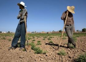 خشکسالی عامل بیکاری جوانان روستایی 