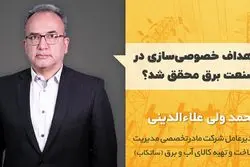 اهداف خصوصی سازی در صنعت برق محقق شد؟