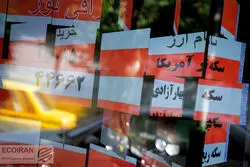 قیمت دلار امروز 29 مرداد 1402 / سکه کاهشی شد