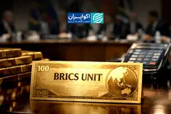 ارز مشترک بریکس در آینده نزدیک بعید است