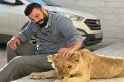 مرگ توله شیر امیرعلی اکبری؛ سهل‌انگاری باغ‌وحش ارم زیر ذره‌بین محیط زیست