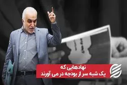 نهادهایی که یک شبه سر از بودجه در می آورند