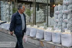 دپوی ۲۰۰ هزار تن برنج در گمرک؛ اجازه ترخیص محموله‌ها صادر نمی‌شود