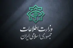 ۳۱ عضو شبکه‌های سازمان‌یافته در سیرجان پیش از اقدامات خرابکارانه بازداشت شدند