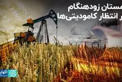 زمستان زودهنگام در انتظار کامودیتی‌ها