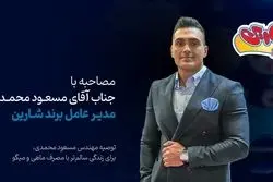 ماهی و میگو شارین؛ طعم، سلامت و کیفیت در یک بسته