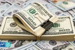 ارز در کشتی بی‌لنگر؟