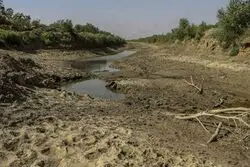 هورالعظیم قربانی خشکسالی است یا توسعه میادین نفتی؟